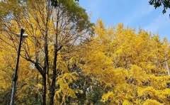 泰坦陨落和apex的操作